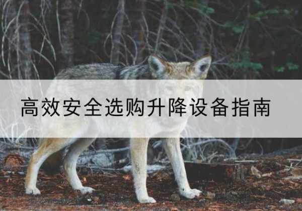 掇刀升降货梯厂家推荐-*安全选购升降设备指南