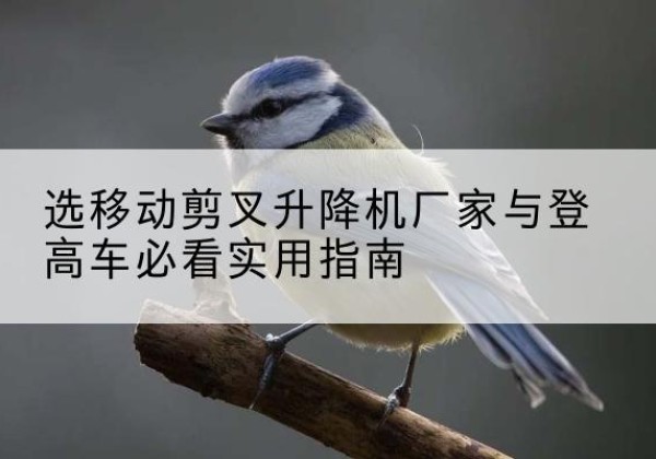 掇刀电动升降机厂家-选移动剪叉升降机厂家与登高车必看实用指南