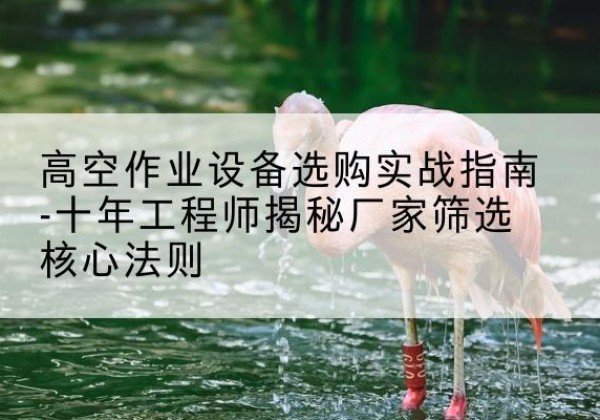 掇刀剪叉式升降机厂家-高空作业设备选购实战指南-十年工程师揭秘厂家筛选核心法则